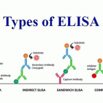 Metode ELISA Dalam Dunia Penelitian