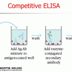 Competitive ELISA – Pengertian dan Prinsip Kerja