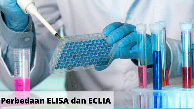 Perbedaan ELISA dan ECLIA